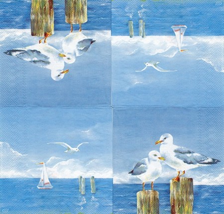 1 (5)