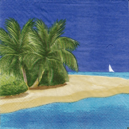 1 (19)
